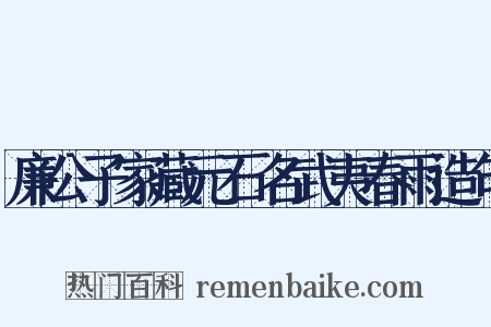 廉公子家藏元石名武夷春雨造句是什么意思的图片